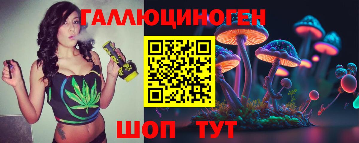 Псилоцибиновые грибы Cubensis Свободный