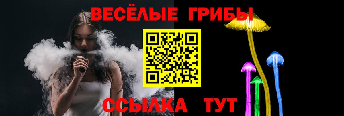 Свободный  Псилоцибиновые грибы MAGIC MUSHROOMS  Вход с VPN 